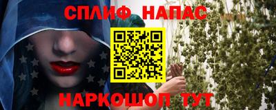 твердый Кингисепп