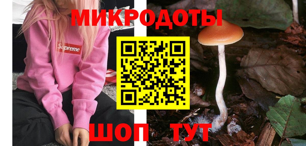 Галлюциногенные грибы GOLDEN TEACHER  даркнет сайт  Вход с VPN  Кропоткин  Псилоцибиновые грибы GOLDEN TEACHER 
