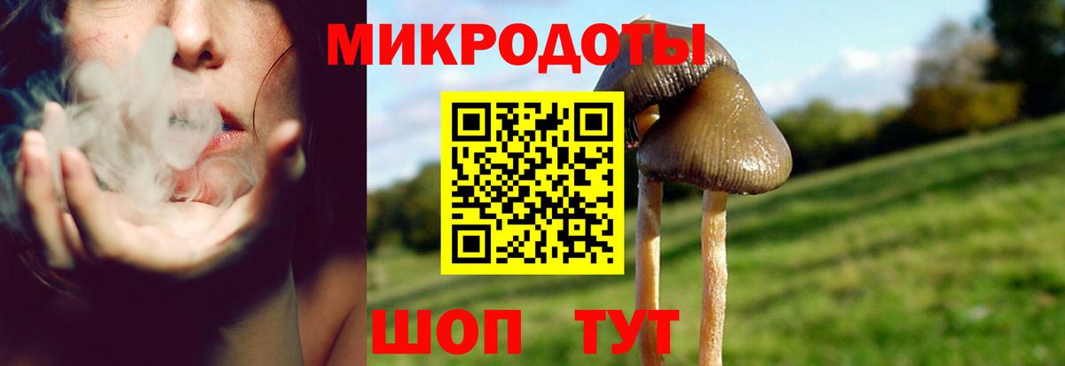 Галлюциногенные грибы Magic Shrooms Кропоткин